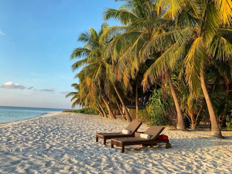 Lounge chairs on a beach, relaxing vacation